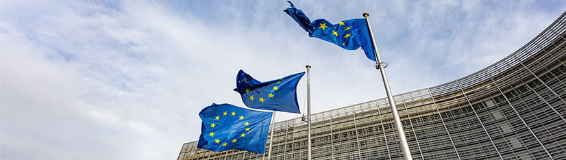 Die Societas Europaea (SE) – Die europäische Aktiengesellschaft